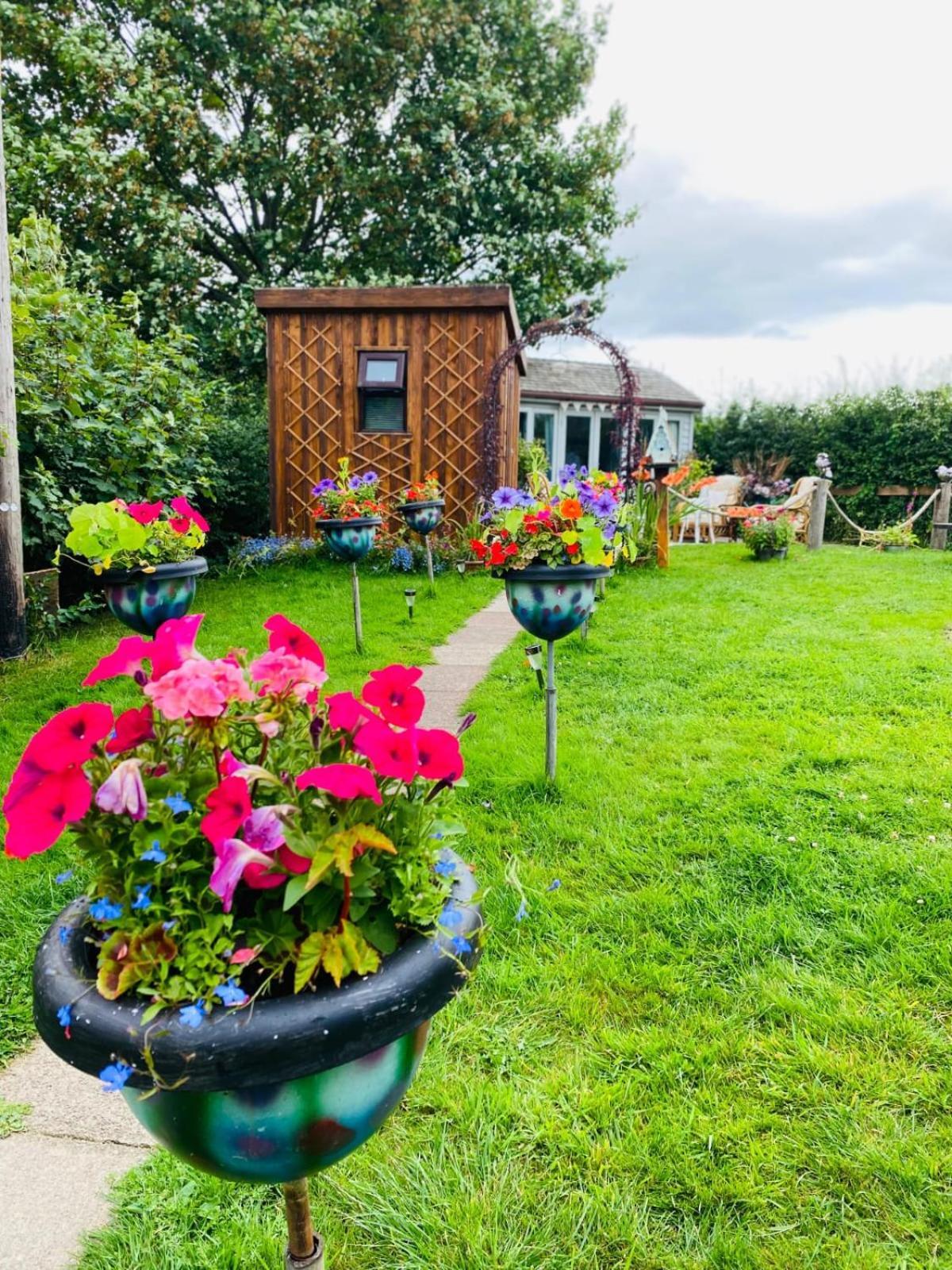 Campsite Birds And The Bees Summer House *